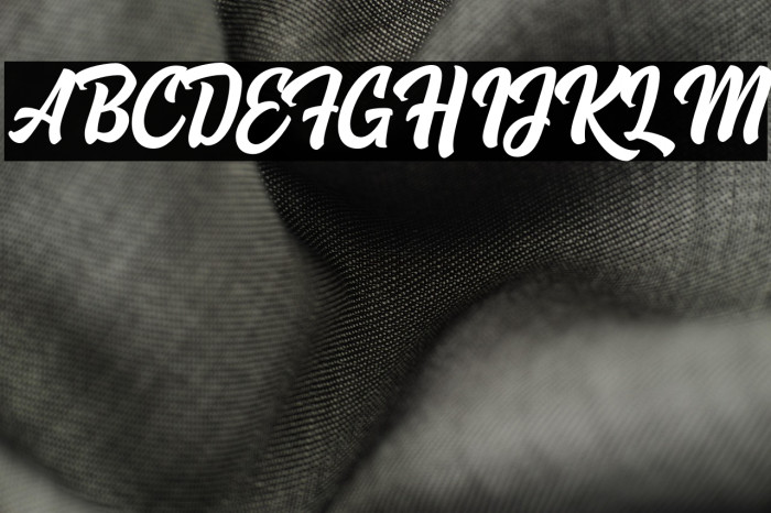 Hoodson Script Free Demo Regular Example 2