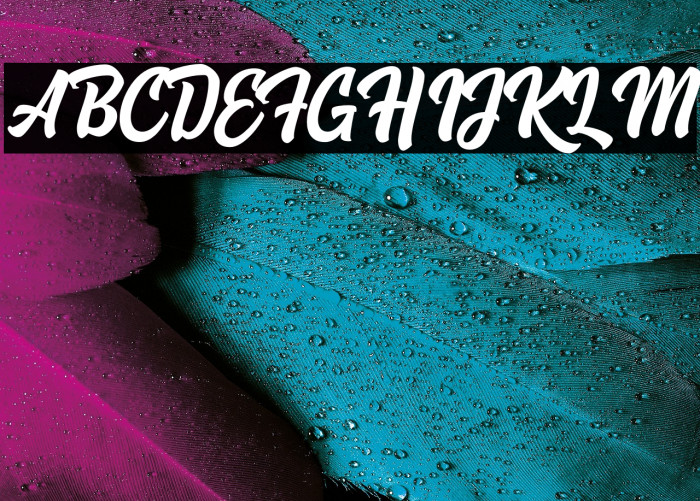 Hoodson Script Free Demo Regular Example 3