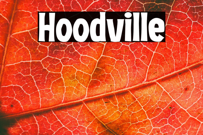 Hoodville Example 1