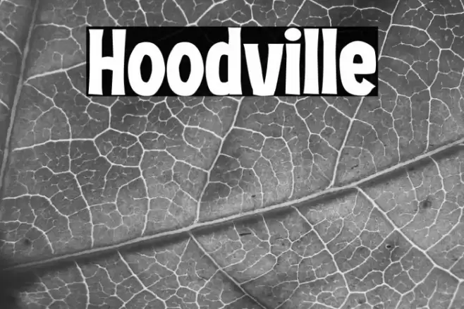 Hoodville Font examples