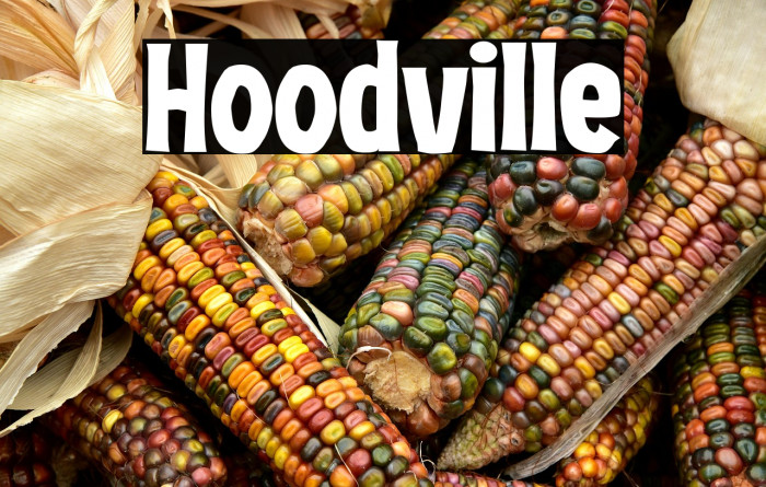 Hoodville Example 2