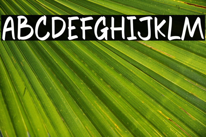 Hook Franco Example 3