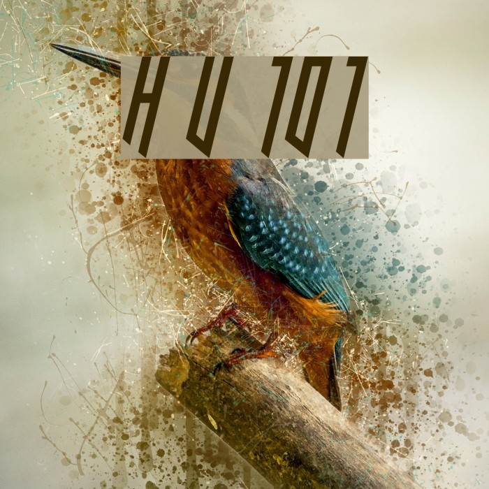 Hooked Up 101 Font examples