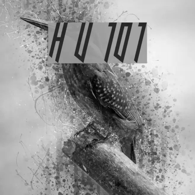 Hooked Up 101 خط examples