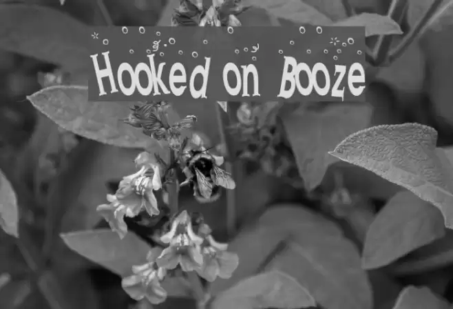 Hooked on Booze Schriftart examples