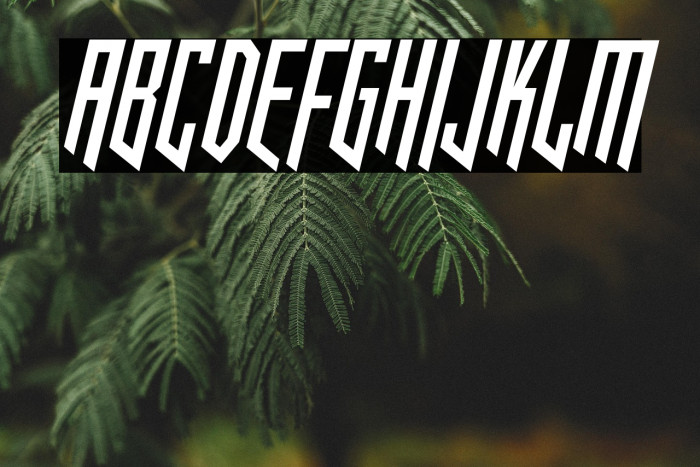 HookedUpOneOhOne-Regular Example 2