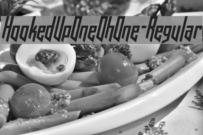 HookedUpOneOhOne-Regular Font examples