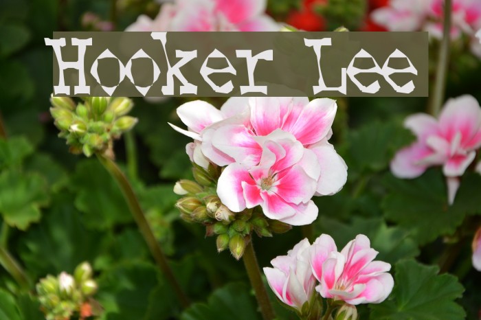 Hooker Lee Font examples