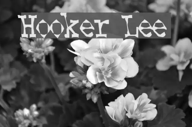Hooker Lee Schriftart examples