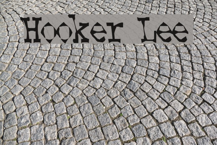 Hooker Lee Font examples