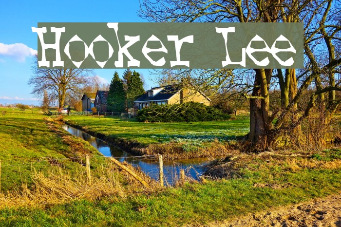 Hooker Lee Font examples