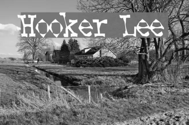 Hooker Lee Schriftart examples