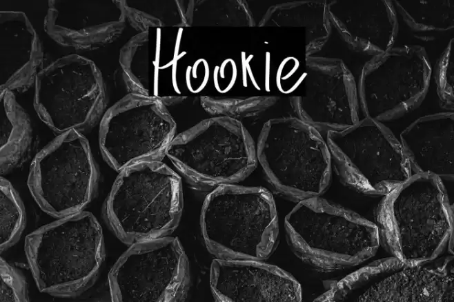 Hookie Font examples