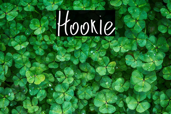 Hookie Example 2