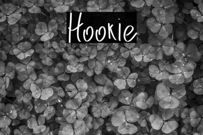 Hookie Font examples