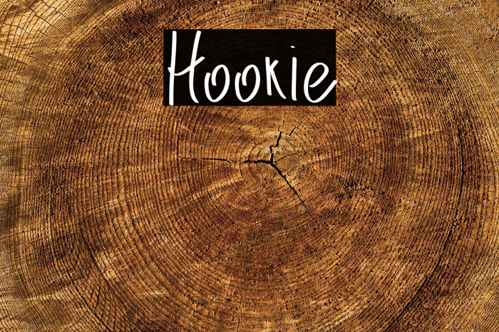 Hookie Example 3