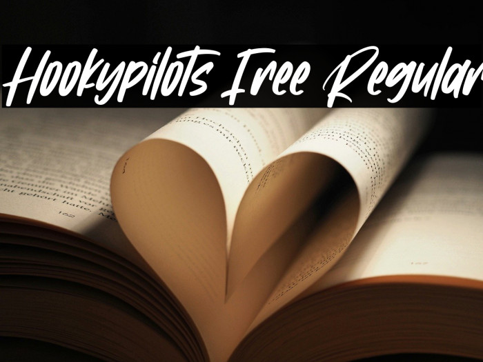 Hookypilots Free Regular Example 1
