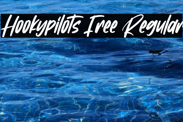 Hookypilots Free Regular Example 2
