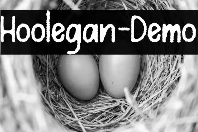Hoolegan-Demo Font examples