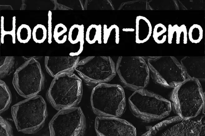 Hoolegan-Demo Font examples