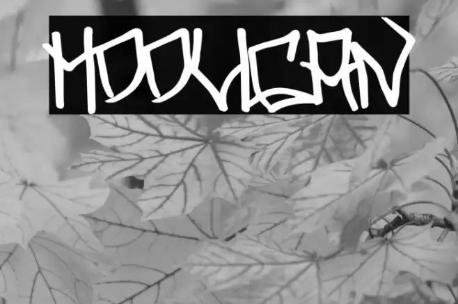 Hooligan Font examples