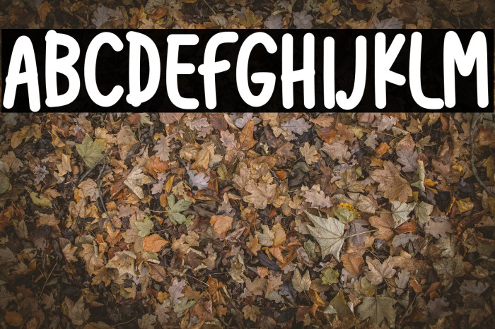 Hoollidday Font examples