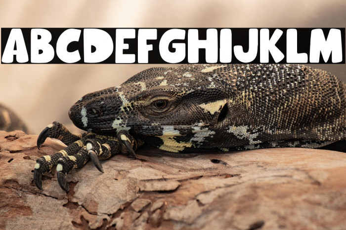 Hooman World Example 3