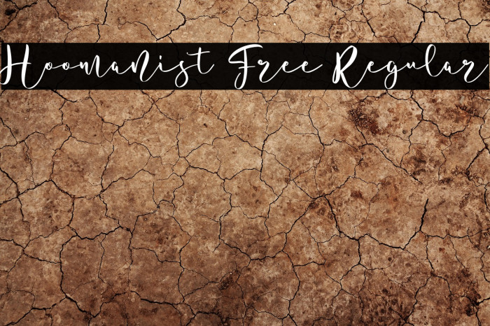 Hoomanist Free Regular Example 2