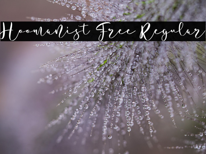 Hoomanist Free Regular Example 3