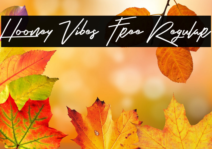 Hooney Vibes Free Regular Example 2