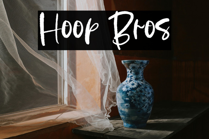 Hoop Bros Example 1