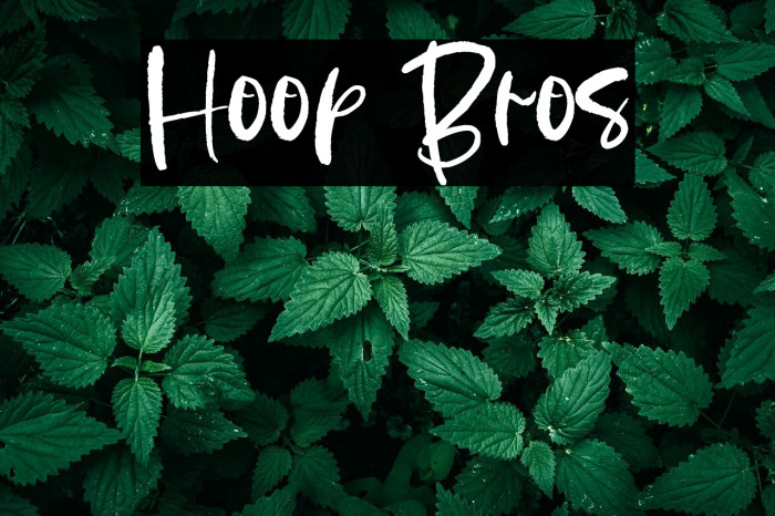 Hoop Bros Example 2