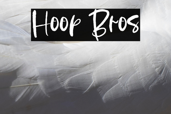 Hoop Bros Example 3