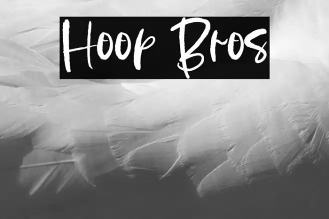 Hoop Bros Font examples