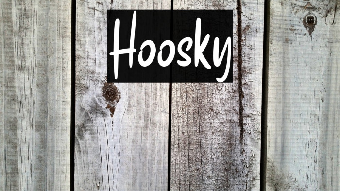 Hoosky Example 1