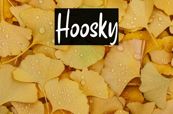 Hoosky Example 2