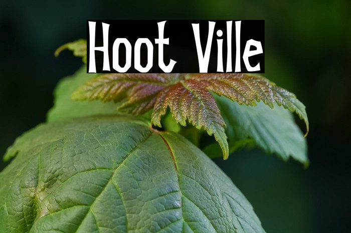 Hoot Ville Example 1