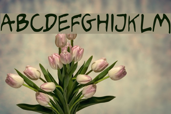 Hooteroll_Jam Font examples