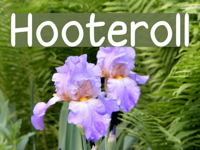 Hooteroll Font examples