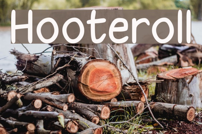 Hooteroll Font examples