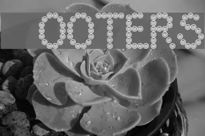 Hooters Font examples