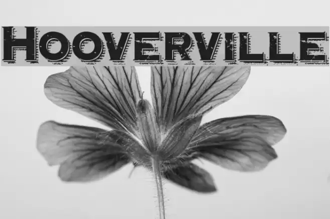 Hooverville Font examples