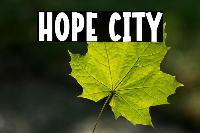 Hope City Example 3