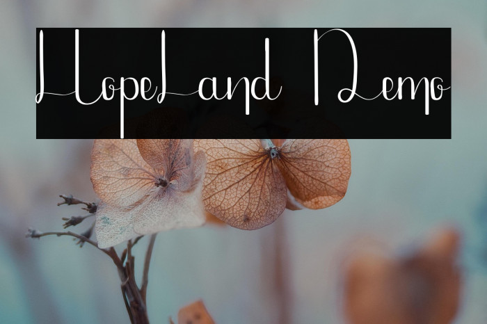 HopeLand Demo Example 1