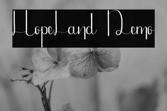 HopeLand Demo Font examples