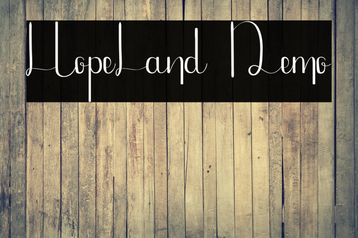 HopeLand Demo Example 2