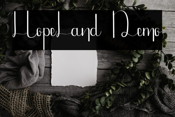 HopeLand Demo Example 3