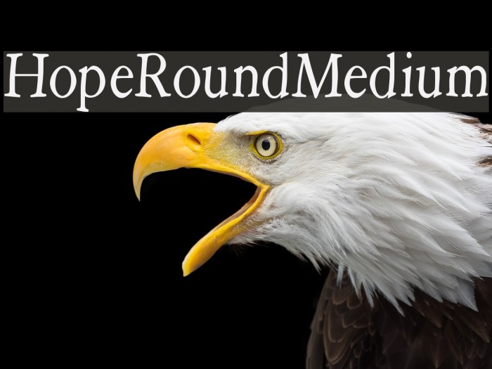 HopeRoundMedium Font examples