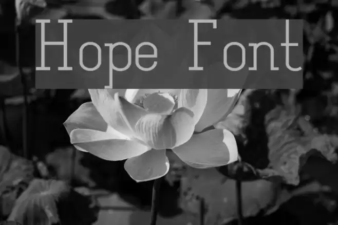 Hope Font examples