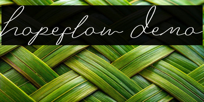 Hopeflow Demo Example 1